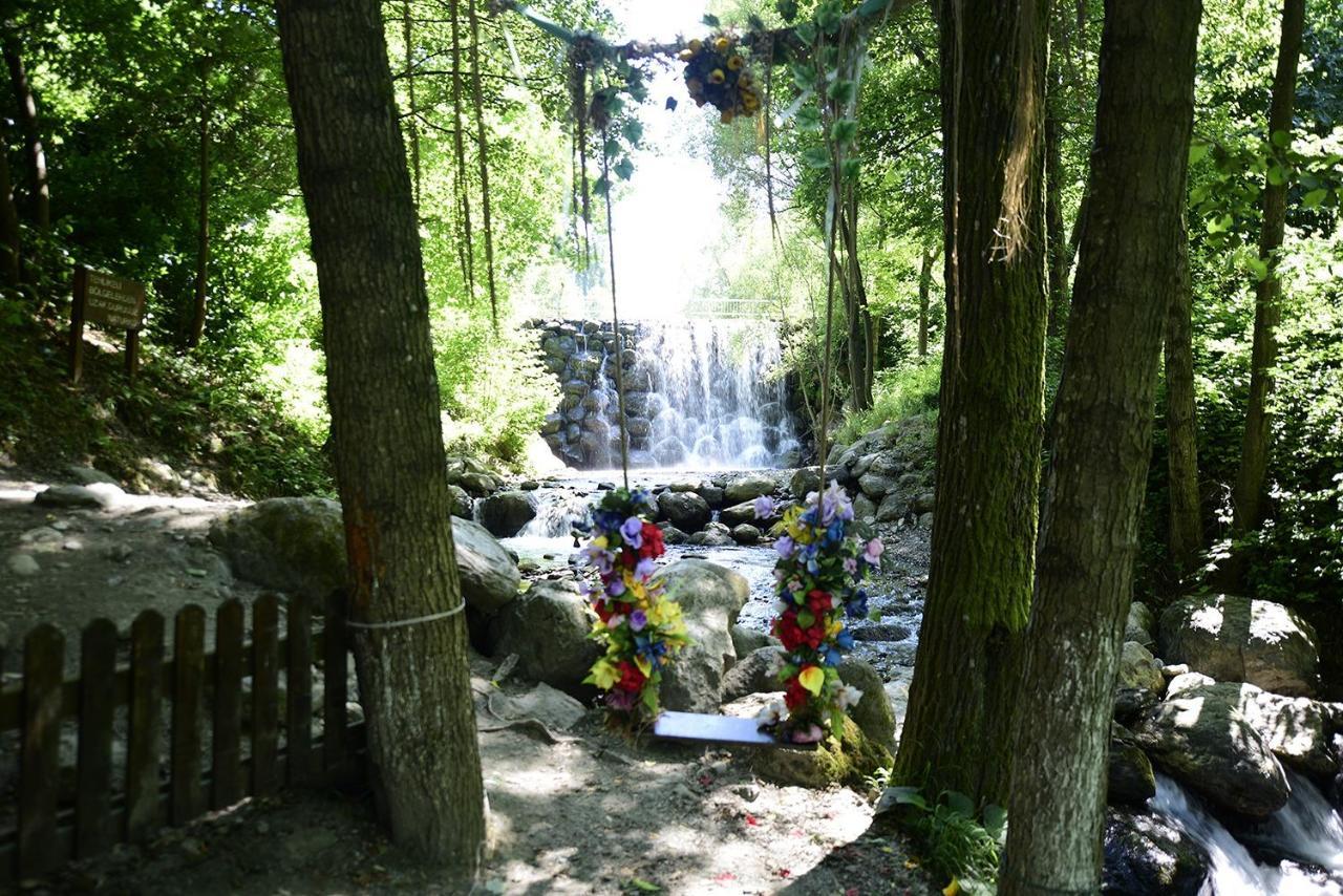 Naturkoy Sapanca Sakarya  Kültér fotó