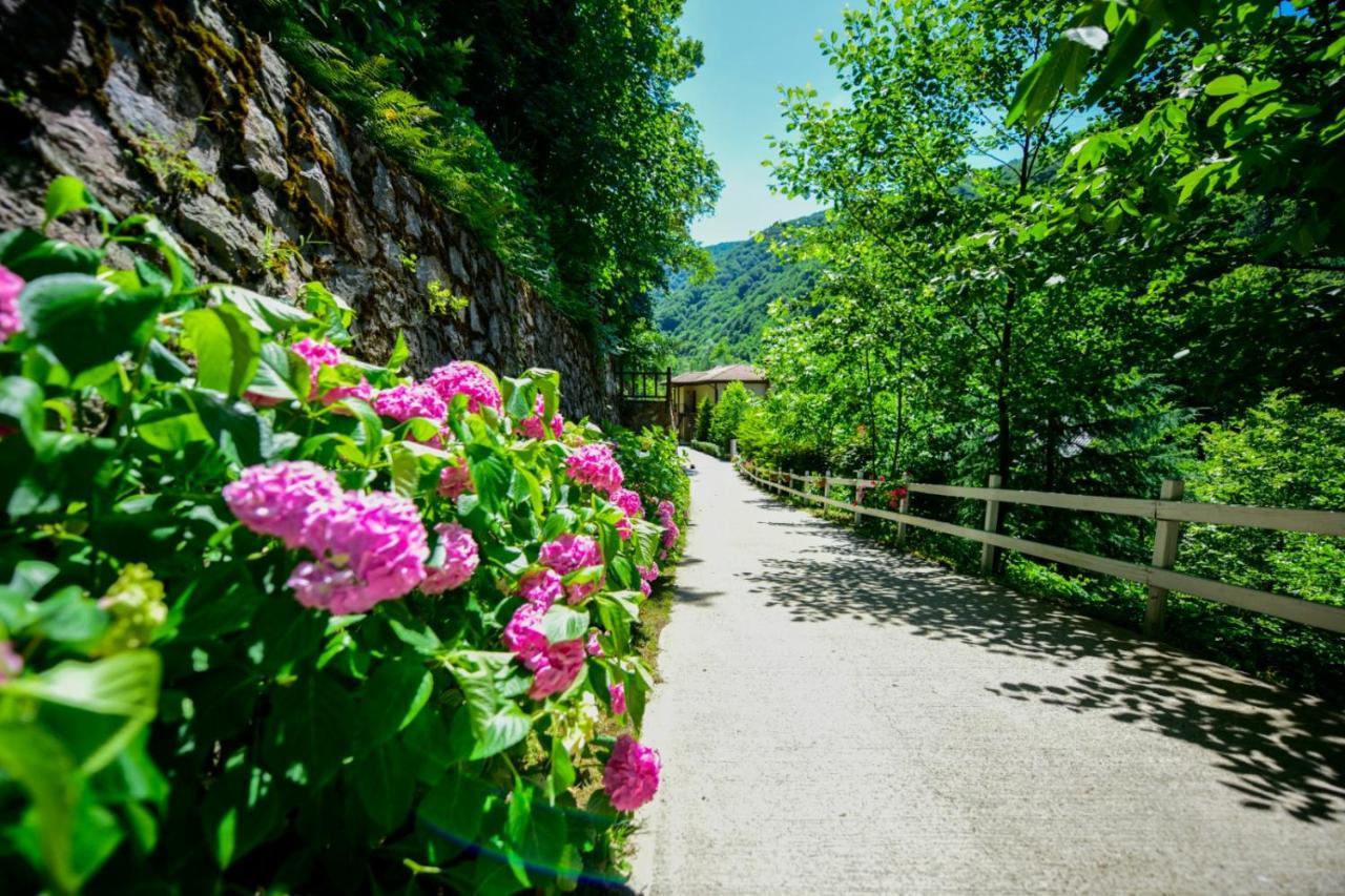 Naturkoy Sapanca Sakarya  Kültér fotó