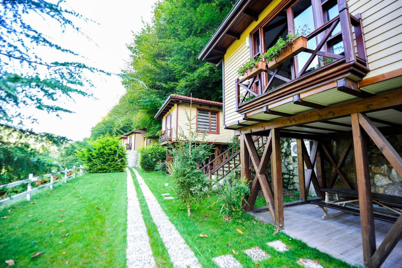 Naturkoy Sapanca Sakarya  Kültér fotó